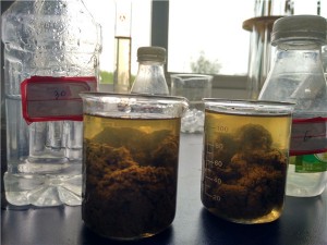 油包水型聚丙烯酰胺乳液的絮凝作用机理