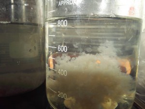 污水处理中是聚丙烯酰胺乳液和干粉的区别
