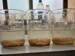 聚丙烯酰胺溶液需做到现配现用