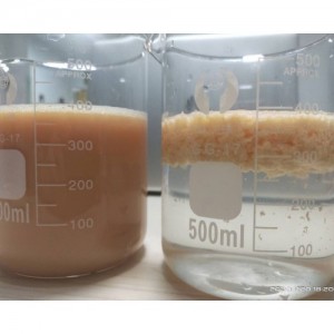 聚丙烯酰胺乳液生产厂家追求多元化生产