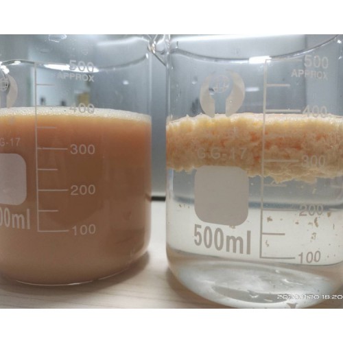 1413045262053.jpg.middle.jpg 1413045262053.jpg.middle.jpg