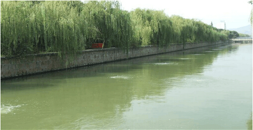 18173044.jpg 18173044.jpg