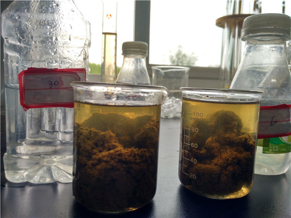 12f21aaf47554c078618fb8873e9034a.jpeg 12f21aaf47554c078618fb8873e9034a.jpeg